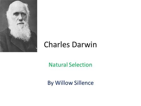 Charles Darwin Natural Selection By Willow Sillence.