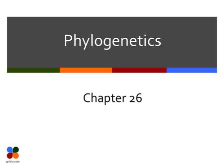 Phylogenetics Chapter 26. Slide 2 of 17 Ontogeny recapitulates Phylogeny  Ontogeny – development from embryo to adult  Phylogeny – evolutionary history.