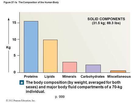 © 2012 Pearson Education, Inc. Figure 27-1a The Composition of the Human Body SOLID COMPONENTS (31.5 kg; 69.3 lbs) ProteinsLipidsMineralsCarbohydratesMiscellaneous.