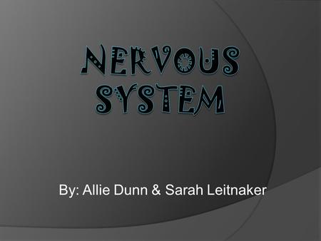 By: Allie Dunn & Sarah Leitnaker. Evolution of Nervous system  Hydra (Cndarian)- have one or more nerve net, made up of neurons.  Flatworm (planarians)-