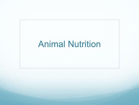 Animal Nutrition. nutrition Food taken in, taken apart and taken up Herbivores – plants/algae Carnivores – eat other animals Omnivores – consume animals.