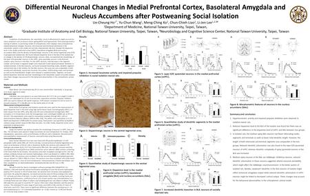 Differential Neuronal Changes in Medial Prefrontal Cortex, Basolateral Amygdala and Nucleus Accumbens after Postweaning Social Isolation Ue-Cheung Ho 1*,