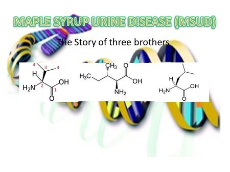The Story of three brothers. MSUD is a potentially deadly disorder that affects the way the body breaks down three amino acids, leucine, isoleucine, and.