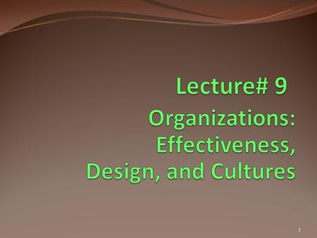 Organizations: Effectiveness, Design, and Cultures