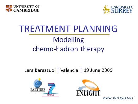 TREATMENT PLANNING Modelling chemo-hadron therapy Lara Barazzuol | Valencia | 19 June 2009.
