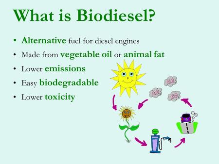 What is Biodiesel? Alternative fuel for diesel engines Made from vegetable oil or animal fat Lower emissions Easy biodegradable Lower toxicity.