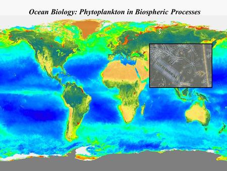 Ocean Biology: Phytoplankton in Biospheric Processes.
