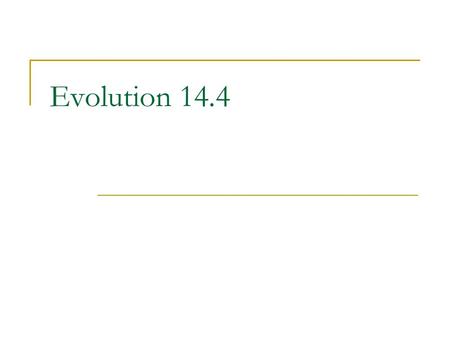 Evolution 14.4.