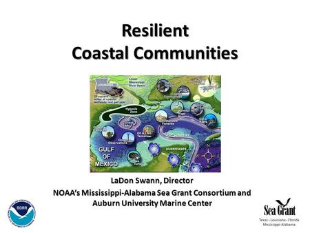 Resilient Coastal Communities LaDon Swann, Director NOAA’s Mississippi-Alabama Sea Grant Consortium and Auburn University Marine Center.