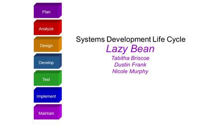 Plan Design Analyze Develop Test Implement Maintain Systems Development Life Cycle Lazy Bean Tabitha Briscoe Dustin Frank Nicole Murphy.