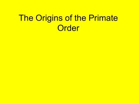 The Origins of the Primate Order