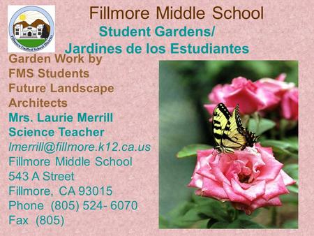 Fillmore Middle School Student Gardens/ Jardines de los Estudiantes Garden Work by FMS Students Future Landscape Architects Mrs. Laurie Merrill Science.