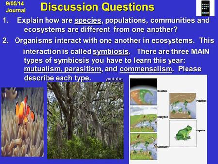 Discussion Questions Discussion Questions 1.Explain how are species, populations, communities and ecosystems are different from one another? 2. Organisms.