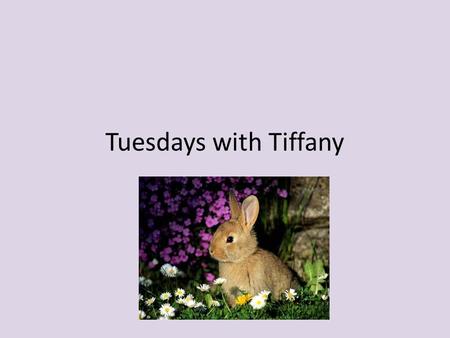 Tuesdays with Tiffany. Life Lessons These are some words of advice and some life lessons that have helped me through life. Now I am passing them on to.