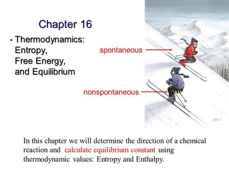 Chapter 16 Thermodynamics: Entropy, Free Energy, and Equilibrium