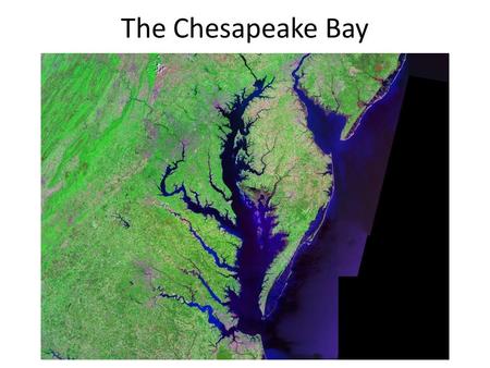 The Chesapeake Bay. The Chesapeake Bay by the Numbers The watershed includes parts of six states and the District of Columbia, with headwaters in Cooperstown,