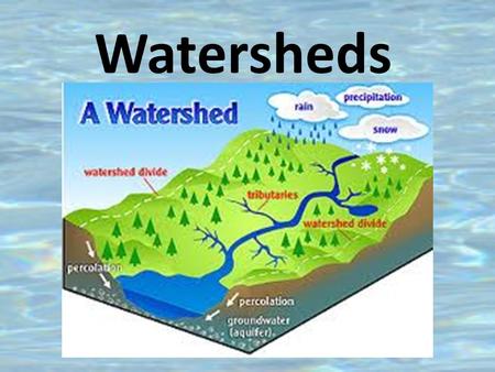 Watersheds. In George West, we live next to the Nueces River. This river supplies many towns and cities with drinking water. It is very important to keep.