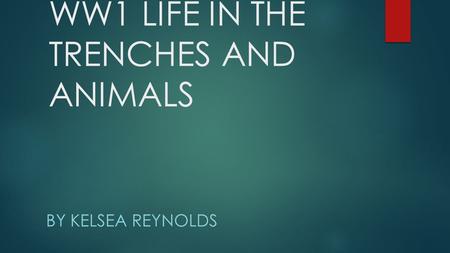 WW1 LIFE IN THE TRENCHES AND ANIMALS BY KELSEA REYNOLDS.