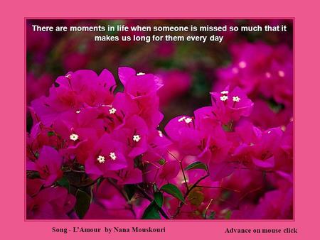 There are moments in life when someone is missed so much that it makes us long for them every day Advance on mouse click Song - L’Amour by Nana Mouskouri.