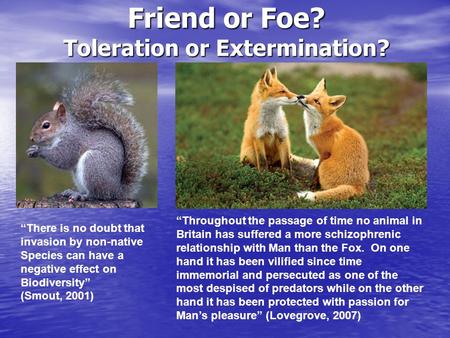 Friend or Foe? Toleration or Extermination? “Throughout the passage of time no animal in Britain has suffered a more schizophrenic relationship with Man.
