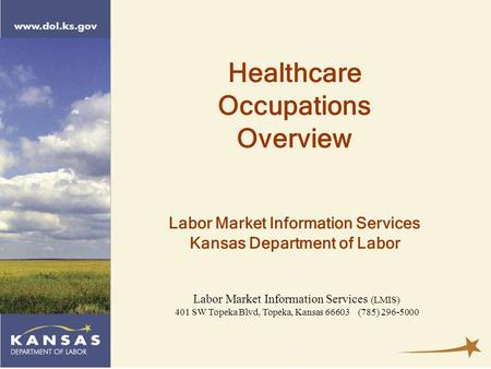 Labor Market Information Services (LMIS) 401 SW Topeka Blvd, Topeka, Kansas 66603 (785) 296-5000 Healthcare Occupations Overview Labor Market Information.