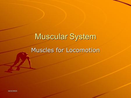 10/2/2015 Muscular System Muscles for Locomotion.