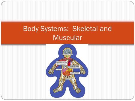 Body Systems: Skeletal and Muscular. Levels of Organization ~ Organ Systems.