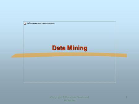 Copyright: Silberschatz, Korth and Sudarshan 1 Data Mining.