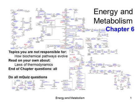 Energy and Metabolism1 Energy and Metabolism Chapter 6 Topics you are not responsible for: How biochemical pathways evolve Read on your own about: Laws.