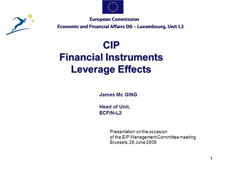 1 CIP Financial Instruments Leverage Effects European Commission Economic and Financial Affairs DG - Luxembourg, Unit L2 James Mc GING Head of Unit, ECFIN-L2.