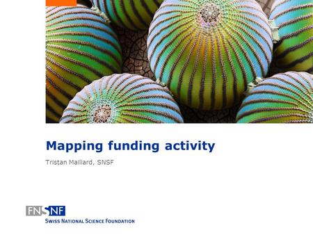 Mapping funding activity Tristan Maillard, SNSF. SNSF Research creates knowledge. Portfolio Analysis of a funding agency SNSF is Switzerland’s most important.
