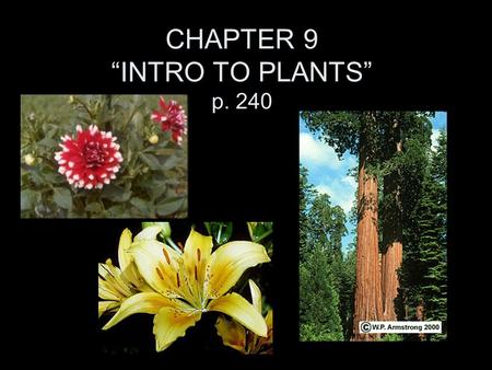 CHAPTER 9 “INTRO TO PLANTS” p. 240 Plants -285,000 + species of plants. -All have tissues and “organs”. Plants must have: cell walls -for support. chloroplasts.