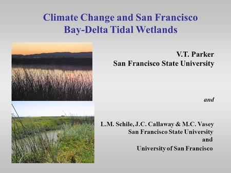 Climate Change and San Francisco Bay-Delta Tidal Wetlands V.T. Parker San Francisco State University and L.M. Schile, J.C. Callaway & M.C. Vasey San Francisco.