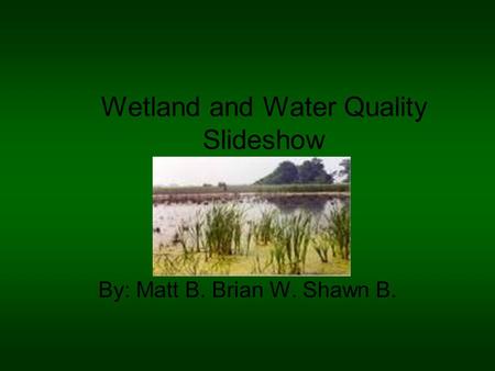 Wetland and Water Quality Slideshow By: Matt B. Brian W. Shawn B.