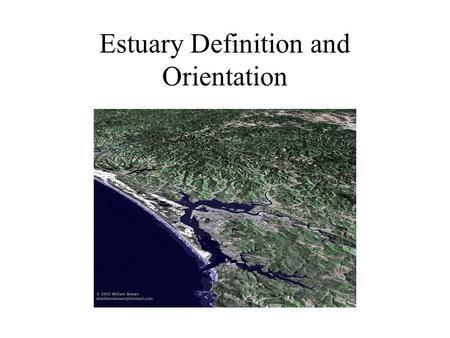 Estuary Definition and Orientation What is an estuary? An estuary is formed where rivers meet the sea. An estuary is a semi-enclosed river mouth or bay.