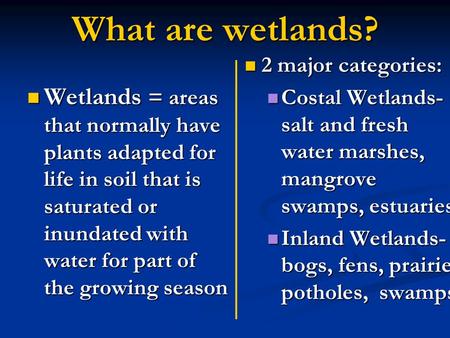 What are wetlands? Wetlands = areas that normally have plants adapted for life in soil that is saturated or inundated with water for part of the growing.