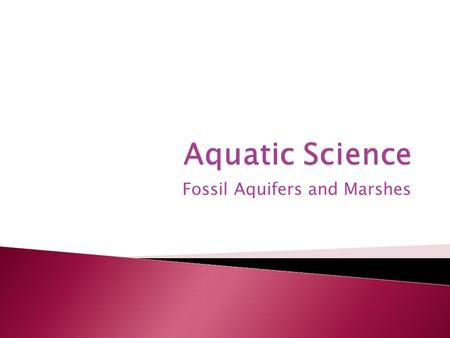 Fossil Aquifers and Marshes.  It is ground water that has remained sealed in an aquifer for a long period of time.  The water contained in the aquifers.