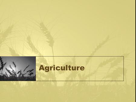 Agriculture.