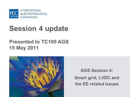 INTERNATIONAL ELECTROTECHNICAL COMMISSION Copyright © IEC, Geneva, Switzerland Session 4 update Presented to TC100 AGS 15 May 2011 AGS Session 4: Smart.