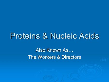 Proteins & Nucleic Acids Also Known As… The Workers & Directors.