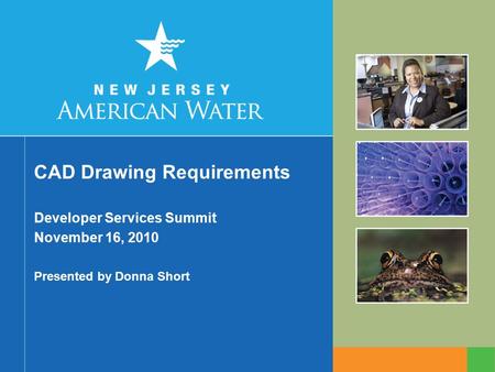 CAD Drawing Requirements Developer Services Summit November 16, 2010 Presented by Donna Short.