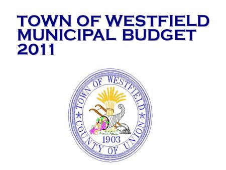 Significant revenue declines and the need for significant appropriation reductions to balance the budget have been the main focus of the 2011 municipal.