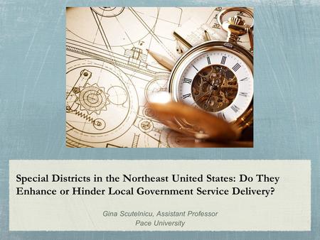 Special Districts in the Northeast United States: Do They Enhance or Hinder Local Government Service Delivery? Gina Scutelnicu, Assistant Professor Pace.