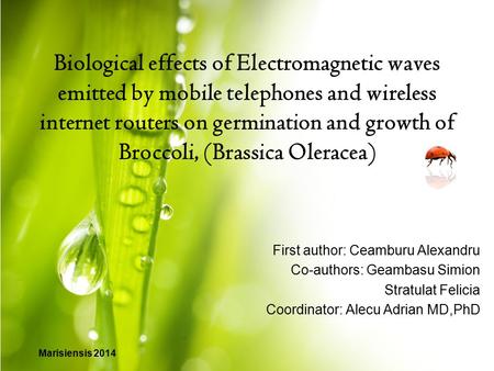 Biological effects of Electromagnetic waves emitted by mobile telephones and wireless internet routers on germination and growth of Broccoli, (Brassica.