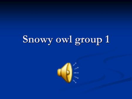 Snowy owl group 1. Snowy Owl Size In winter they are camouflaged in the snow. In winter they are camouflaged in the snow. The female is darker than the.