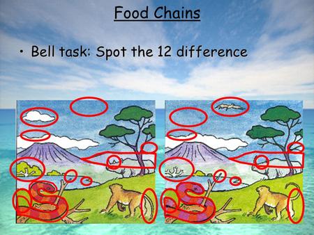 Bell task: Spot the 12 differenceBell task: Spot the 12 difference Food Chains.
