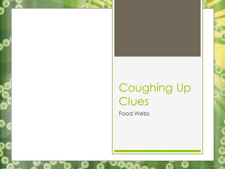Coughing Up Clues Food Webs.