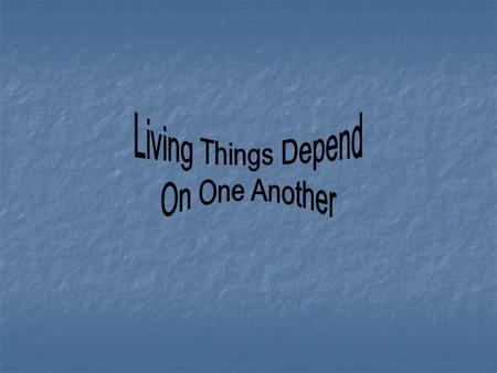 Living Things Depend On One Another.