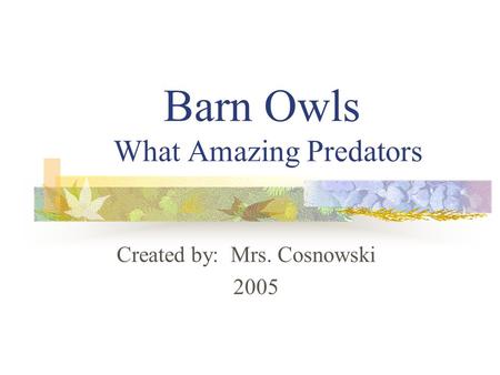Barn Owls What Amazing Predators Created by: Mrs. Cosnowski 2005.