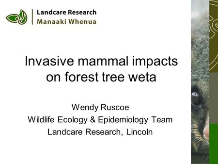 Invasive mammal impacts on forest tree weta Wendy Ruscoe Wildlife Ecology & Epidemiology Team Landcare Research, Lincoln.